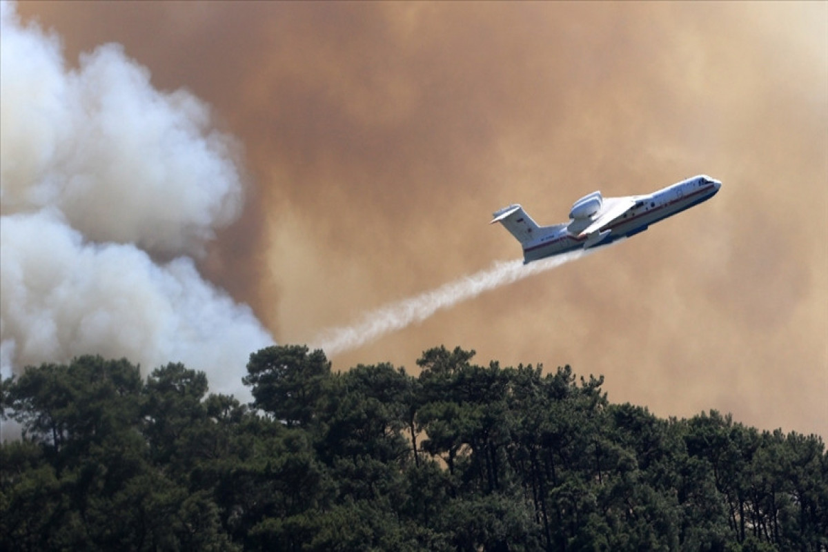 Türkiyədə meşə yanğınlarında xəsarət alan 352 nəfər evə buraxılıb