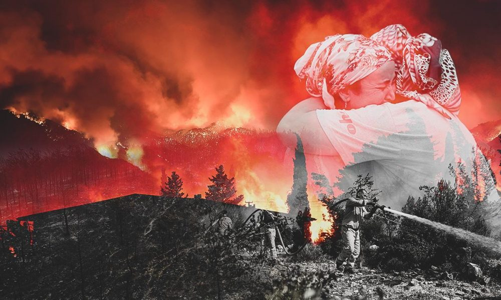 Türkiyədə meşə yanğınlarını törədən 