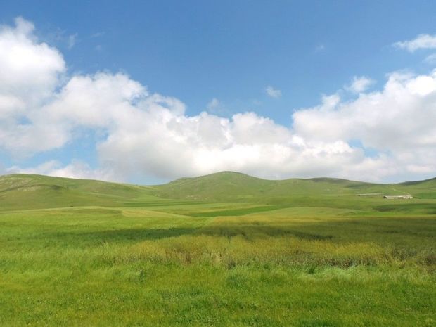 Yaylaqda köməksiz qalan şəxs xilas edildi