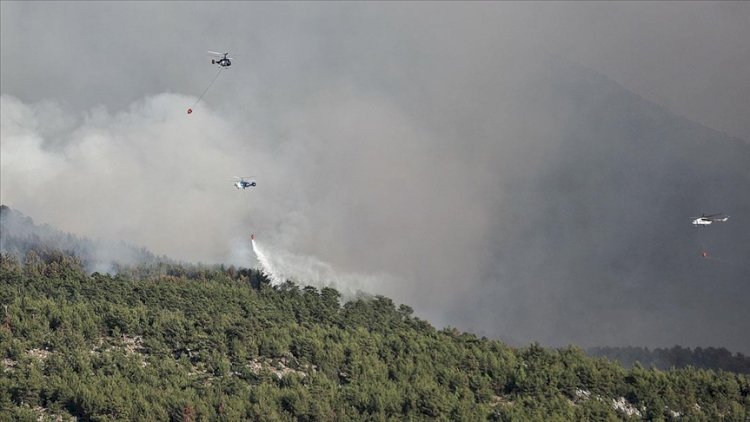 Türkiyədən şad xəbər: 134 yanğın nəzarət altına alındı