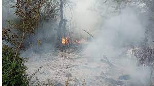 SON DƏQİQƏ: Yardımlıda meşə yanğınları davam edir - Helikopter göndərildi