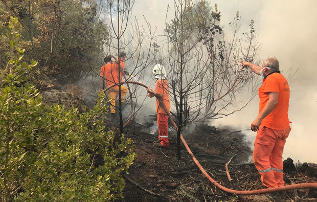 Türkiyədə əksər meşə yanğınları lokallaşdırılıb