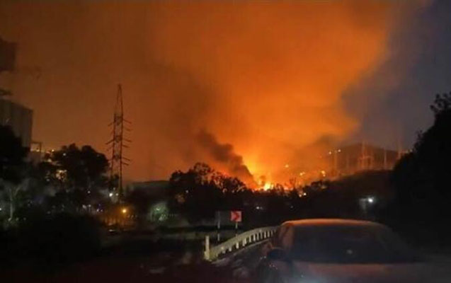 Türkiyədə yanğın İES ərazisinə daxil oldu - Video