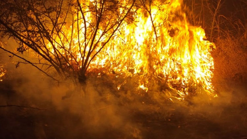 Ağsuda həyacan: Dağlıq ərazidə başlayan yanğın meşəliklərə yaxınlaşır (FOTO)