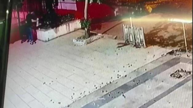 Hər kəsin gözü önündə pişiyi yerə vurub öldürdü - ANBAAN VİDEO