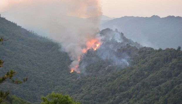 Ağsuda dağlıq ərazidə başlayan yanğın Şamaxı rayonuna keçib