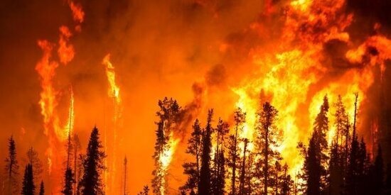 Hər kəsin gözlədiyi xəbər: Türkiyədə yanğın bölgəsinə güclü yağış yağacaq