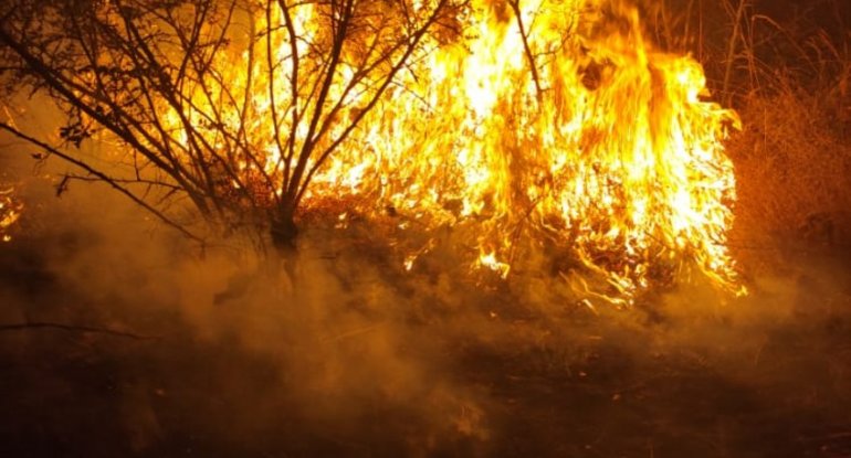 Ağsu və Şamaxıdakı yanğın söndürülüb