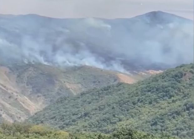 Ağsuda yanğının meşəyə keçməsinin qarşısı alınır: Əraziyə FHN və ETSN əməkdaşları cəlb olu - YENİLƏNİB + VİDEO