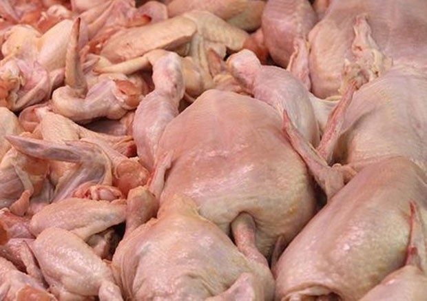 Azərbaycana gətirilən toyuq əti yararsız çıxdı