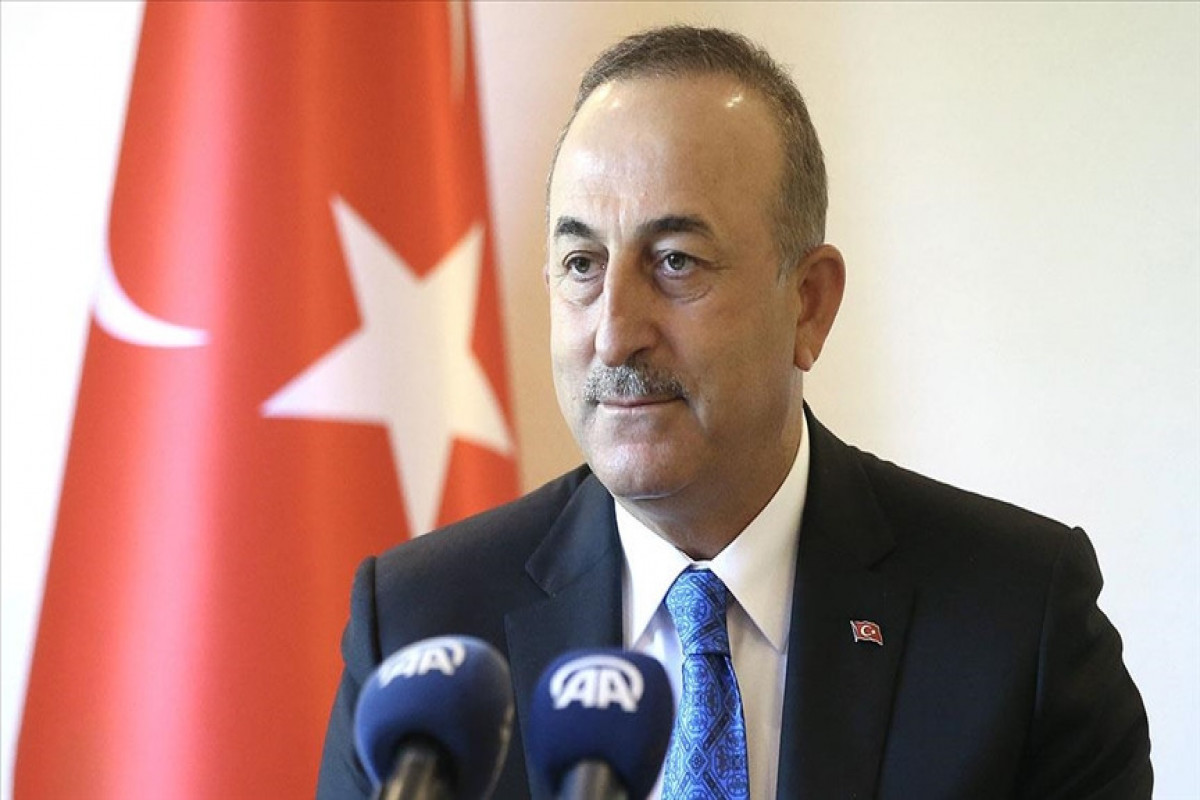 Çavuşoğlu: “Meşə yanğınlarının söndürülməsi üçün can Azərbaycan peşəkar yanğın-xilasetmə qrupu və texniki dəstək göndərib”