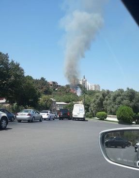 Bakıda yaşıllıq ərazidə baş verən yanğın söndürüldü - YENİLƏNİB + FOTO