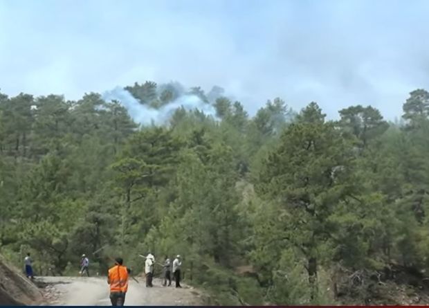 Türkiyədə yanğın davam edir - VİDEO