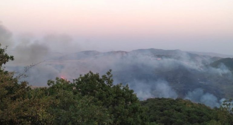 Quba və Qəbələdə meşə yanğınları olub