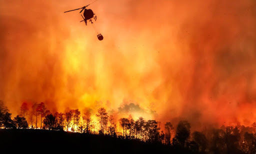 Türkiyədə son 10 gündə 84 minə yaxın hektar yanaraq külə dönüb
