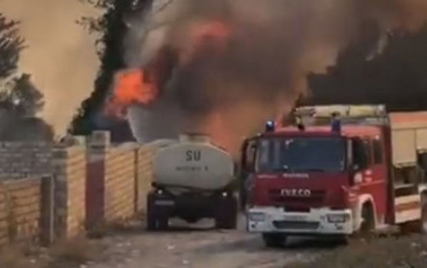 Qəbələdə yanğın başlayıb – VİDEO