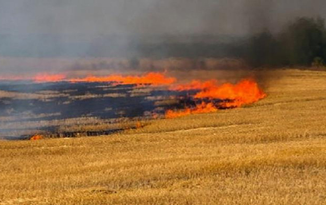 FHN Qəbələdəki yanğınla bağlı məlumat yaydı