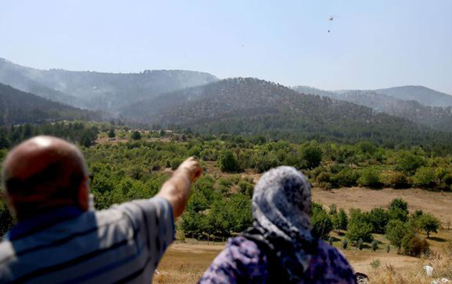 Ankarada meşələrə giriş yasaqlandı