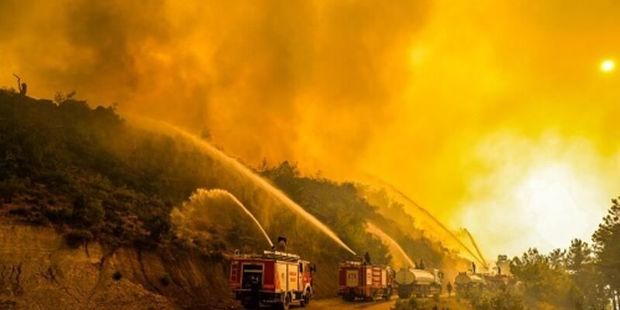Türkiyədə 11 gündür davam edən meşə yanğını lokallaşdırılıb - FOTO