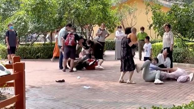 Zooparkda ziyarətçilər arasında kütləvi dava olub - VİDEO