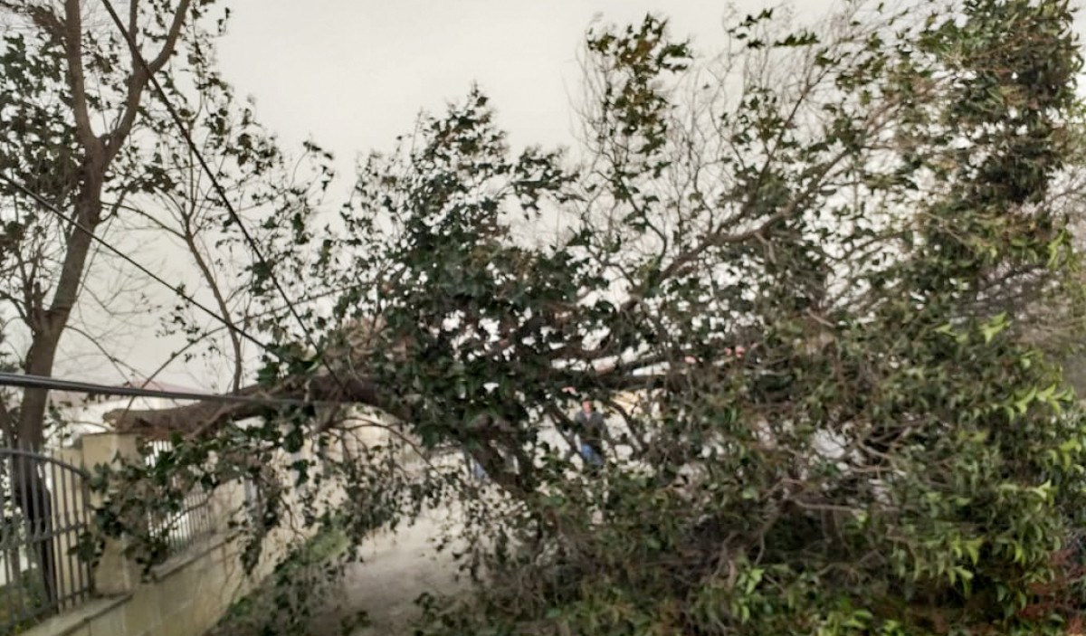 Gəncədə güclü külək səbəbindən elektrik enerjisinin verilməsində fasilə yaranıb