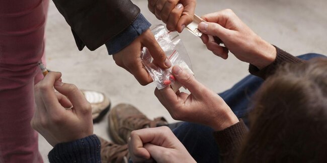 Təhsil ocaqlarının açılması 