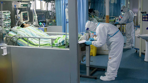 В ВОЗ выдвинули новую версию передачи коронавируса к человеку