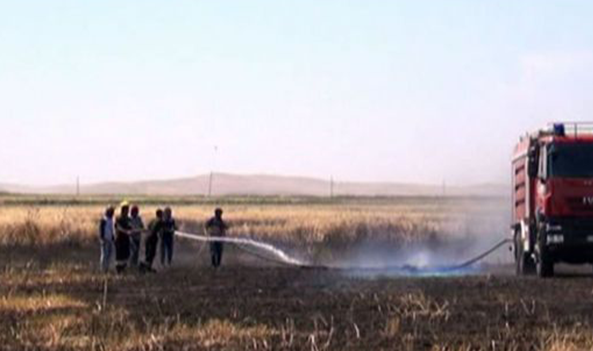 Oğuzda 75 hektar sahə yandı