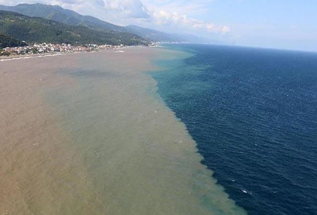 Qara dənizin rəngi qəhvəyiyə döndü – VİDEO