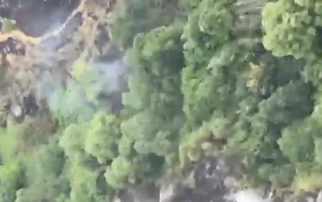 Bakıda ağaclıq ərazidə yanğın