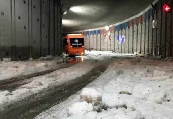 Türkiyədə daha bir “iqlim möcüzəsi” - VİDEO