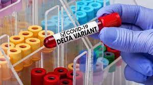 “Delta” ştammı dünyanın səhiyyə sistemini çökdürür