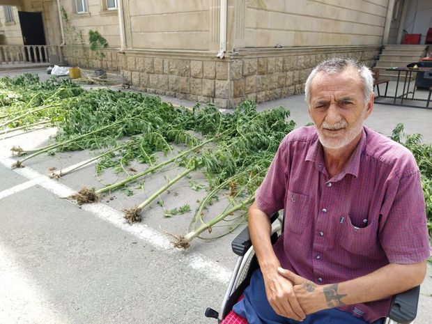 Şabran sakini 250 kiloqram narkotik maddə ilə SAXLANILDI - FOTO