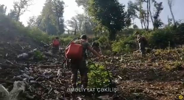 Qəbələdə dağlıq ərazidə baş verən yanğın nəzarət altına alındı - VİDEO