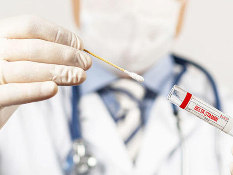 Koronavirusun bütün ştamlarından qoruyan anticismlər aşkarlandı