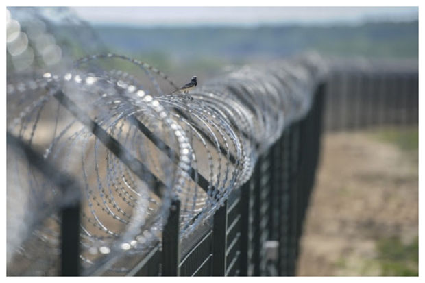 Польша построит на границе с Беларусью забор высотой 2,5 метра