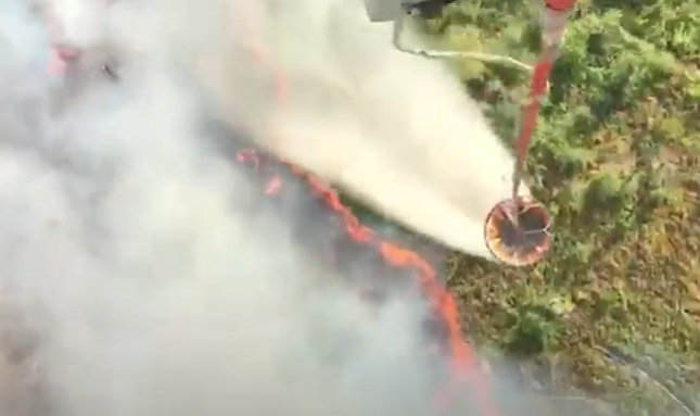 Qəbələdəki yanğının görüntüləri - Video