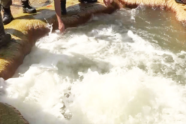 20-yə yaxın yaylağı, 15-dən çox bulağı ilə məşhur olan Zülfüqarlı kəndi - VİDEO