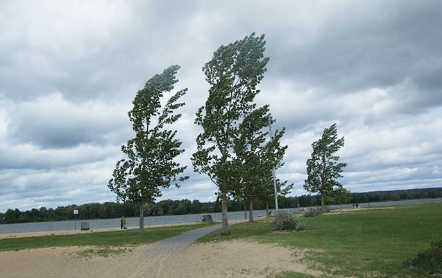 Sabahın havası açıqlandı