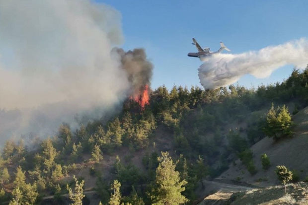 İsmayıllıda dağlıq ərazidə yanğın başlayıb, hadisə yerinə helikopter cəlb edilib