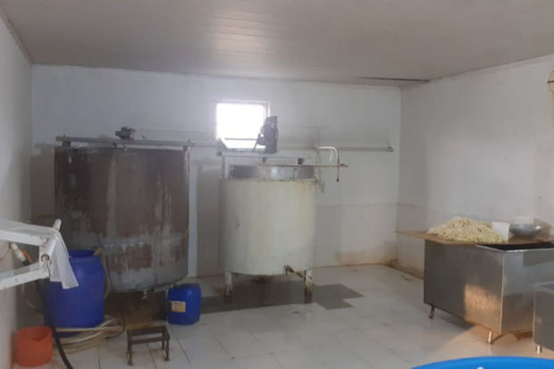 Antisanitar vəziyyətdə fəaliyyət göstərən pendir sexi aşkarlandı - FOTO