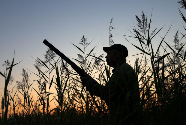 Ova cəhd edən şəxs cəzalandırılıb