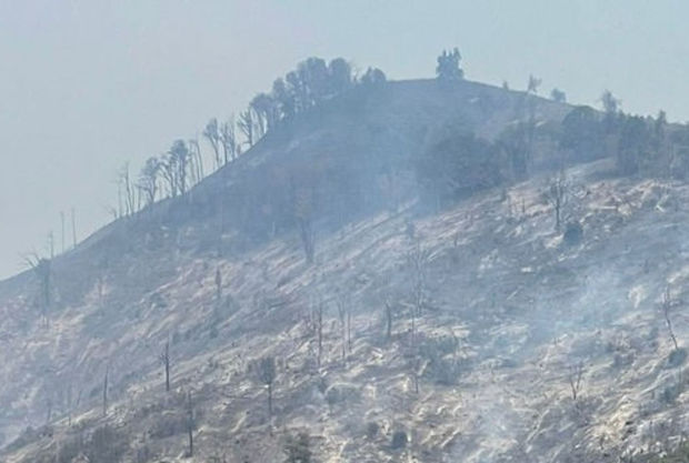 FHN: Qəbələdə dağlıq ərazidə yanğının söndürülməsi istiqamətində tədbirlər davam etdirilir - VİDEO