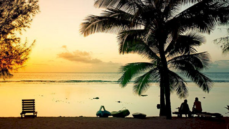 Yer Kürəsinin ən şimal adası tapıldı