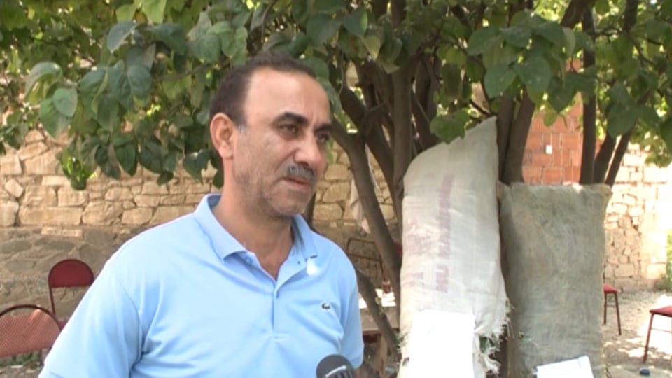 Narkotik yetişdirən Şəmkir sakini saxlanılıb - FOTO (ÖZƏL) 