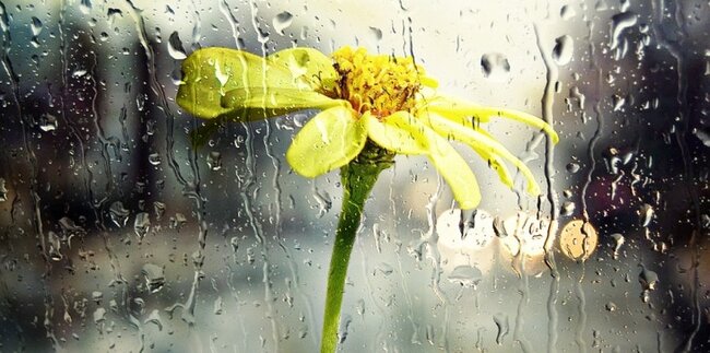 Sabah yağış yağacaq