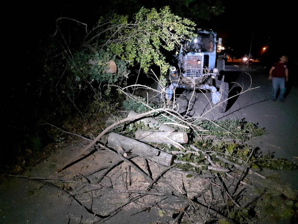 Gəncədə güclü külək bir sıra fəsadlara yol açıb -FOTO (ÖZƏL) 