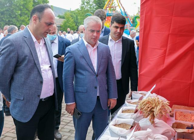 Şəkidə keçirilən toxum sərgi-satış yarmarkasında 30-dan çox sortun toxumu təqdim edilib - FOTO