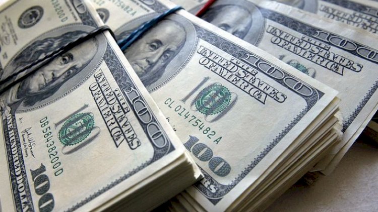 Bu necə olur? - Nazirin qovduğu vergi işçisi 15 milyonluq tender udub