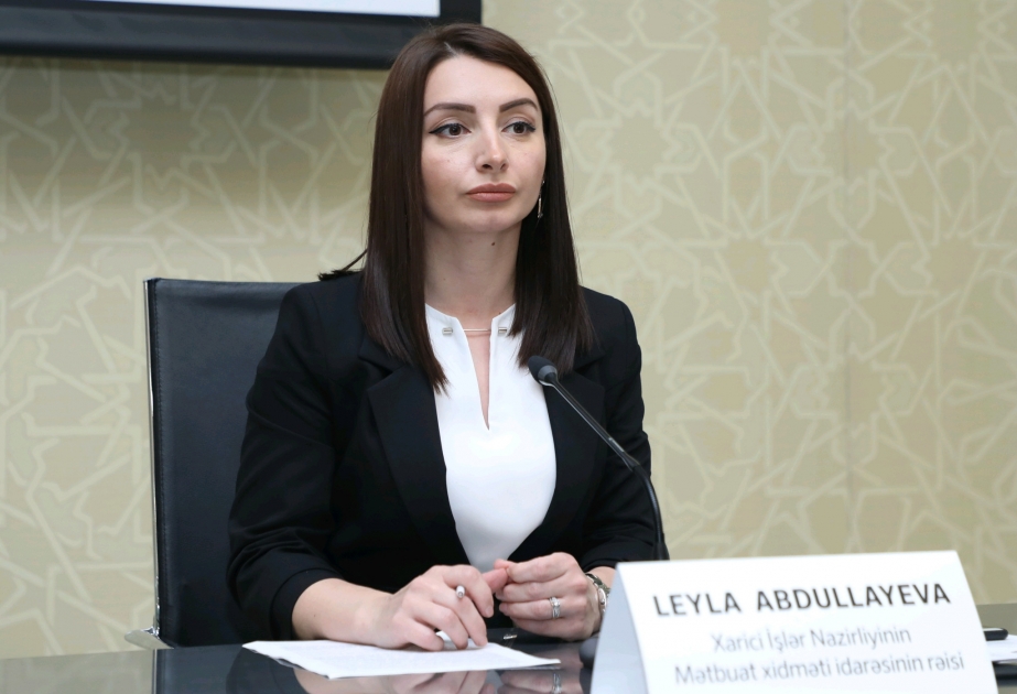 Leyla Abdullayeva Qarabağda minatəmizləmə işlərinin statistikasını açıqladı – FOTO